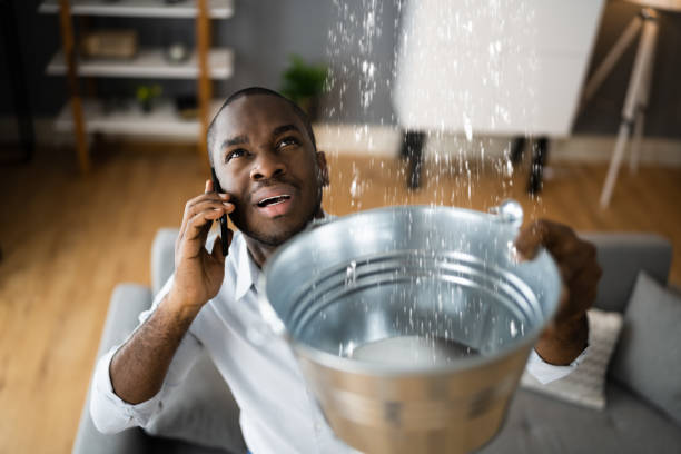 Best Basement water damage restoration  in North Apollo, PA