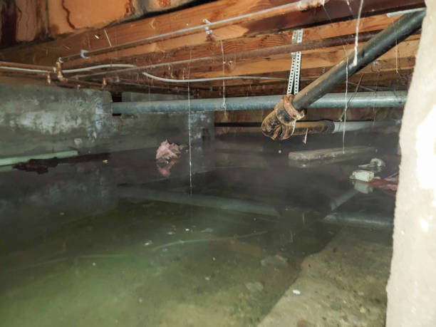 Best Water damage restoration process  in North Apollo, PA