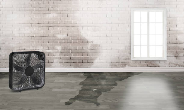  North Apollo, PA Water damage restoration Pros
