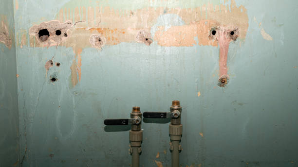 Best Water damage contractors near me  in North Apollo, PA