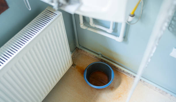 Best Flood damage cleanup  in North Apollo, PA