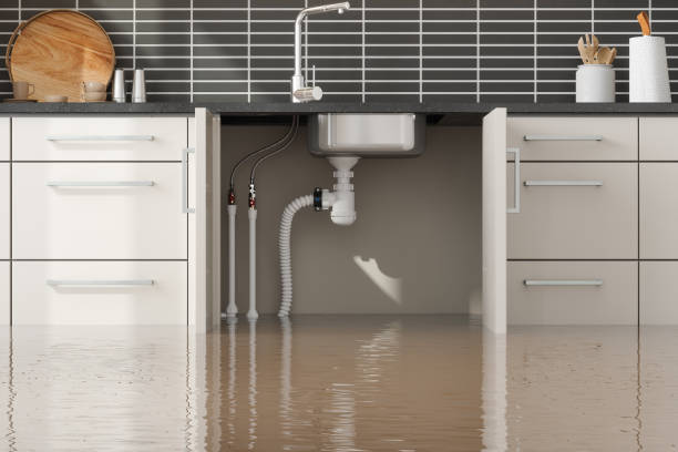 Professional Water damage restoration in North Apollo, PA